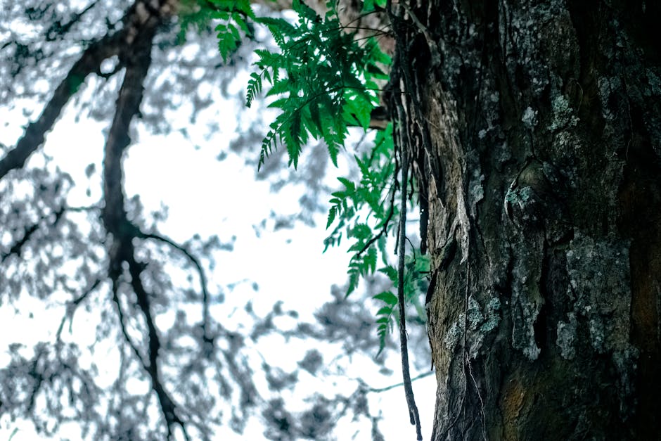 Foto: <a href="https://www.pexels.com/@donaldtong94" target="_blank" rel="nofollow">Donald Tong</a>