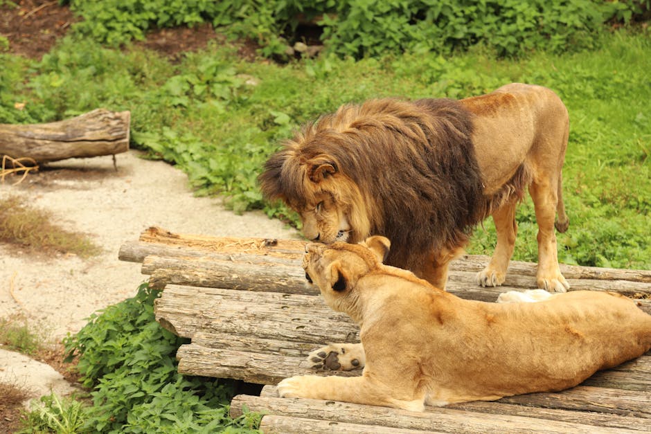 Foto: <a href="https://www.pexels.com/@alena-maruk-106558942" target="_blank" rel="nofollow">ALENA MARUK</a>