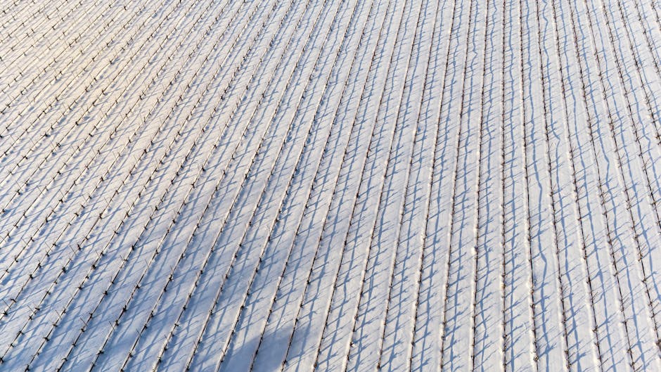 Aerial shot of vineyard rows covered in snow, showing patterns and shadows during winter.