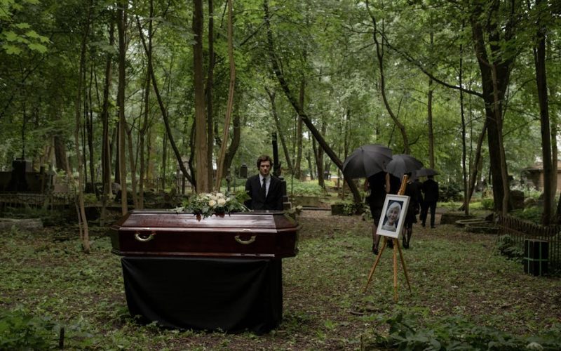 Foto: <a href="https://www.pexels.com/@cottonbro" target="_blank" rel="nofollow">cottonbro studio</a>