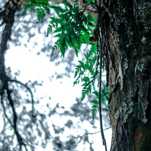 Foto: <a href="https://www.pexels.com/@donaldtong94" target="_blank" rel="nofollow">Donald Tong</a>