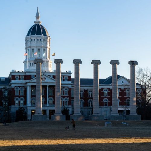 Foto: <a href="https://www.pexels.com/@chris-duan-259139750" target="_blank" rel="nofollow">Chris Duan</a>