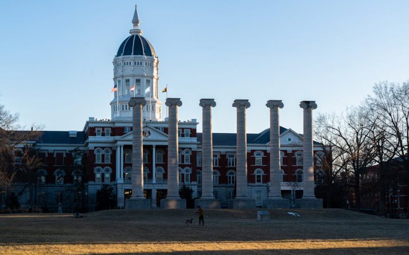 Foto: <a href="https://www.pexels.com/@chris-duan-259139750" target="_blank" rel="nofollow">Chris Duan</a>