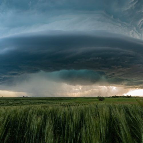 Foto: <a href="https://www.pexels.com/@alex-de-ataide-198265728" target="_blank" rel="nofollow">Alex De Ataide</a>