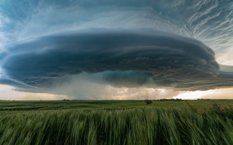 Foto: <a href="https://www.pexels.com/@alex-de-ataide-198265728" target="_blank" rel="nofollow">Alex De Ataide</a>