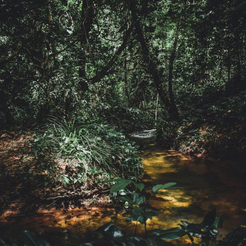 Foto: <a href="https://www.pexels.com/@matheusnatan" target="_blank" rel="nofollow">Matheus Natan</a>