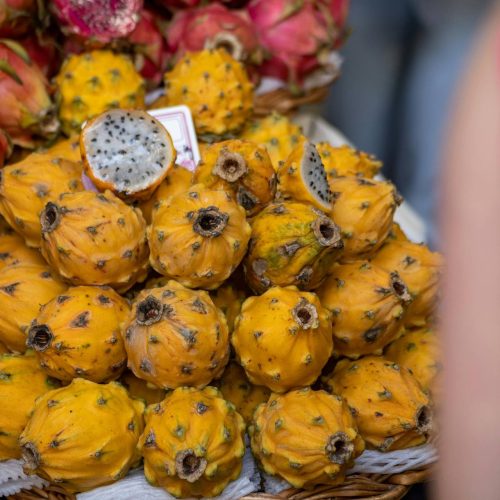 Foto: <a href="https://www.pexels.com/@jorg-hamel-1125847400" target="_blank" rel="nofollow">Jörg Hamel</a>