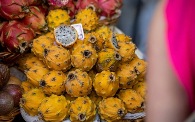 Foto: <a href="https://www.pexels.com/@jorg-hamel-1125847400" target="_blank" rel="nofollow">Jörg Hamel</a>