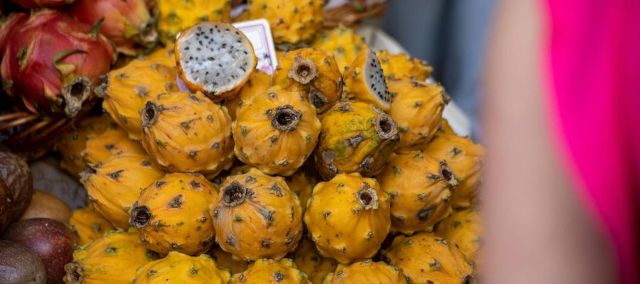 Foto: <a href="https://www.pexels.com/@jorg-hamel-1125847400" target="_blank" rel="nofollow">Jörg Hamel</a>