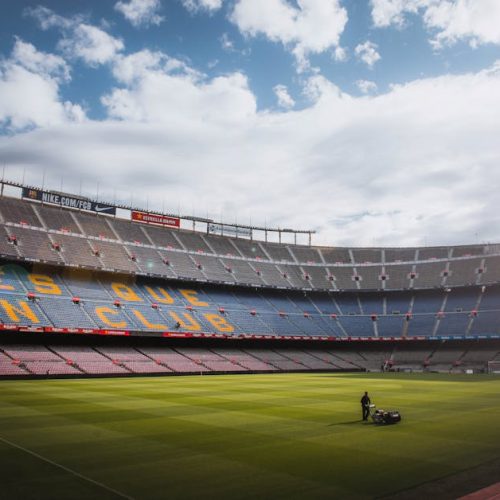 Foto: <a href="https://www.pexels.com/@mario-cuadros-1166886" target="_blank" rel="nofollow">Mario Cuadros</a>