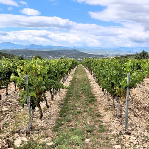 Foto: <a href="https://www.pexels.com/@el-capra-98488027" target="_blank" rel="nofollow">El Capra</a>