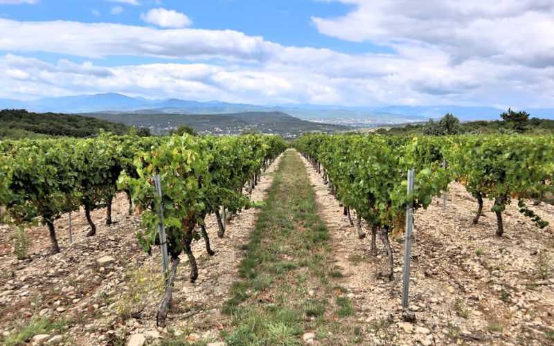 Foto: <a href="https://www.pexels.com/@el-capra-98488027" target="_blank" rel="nofollow">El Capra</a>