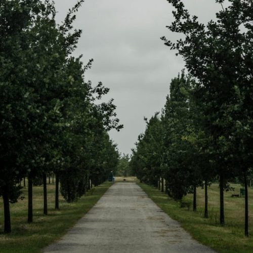 Foto: <a href="https://www.pexels.com/@shox" target="_blank" rel="nofollow">SHOX ART</a>