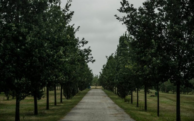 Foto: <a href="https://www.pexels.com/@shox" target="_blank" rel="nofollow">SHOX ART</a>