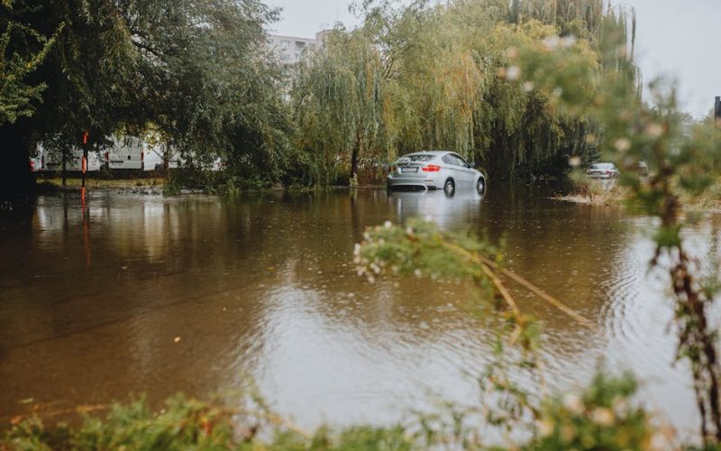 Foto: <a href="https://www.pexels.com/@helen1" target="_blank" rel="nofollow">Helena Jankovičová Kováčová</a>