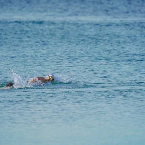 Foto: <a href="https://www.pexels.com/@mahmutyilmaz" target="_blank" rel="nofollow">Mahmut Yılmaz</a>