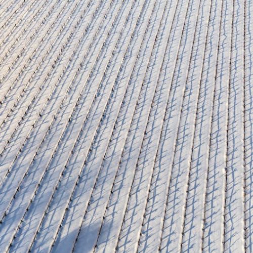 Foto: <a href="https://www.pexels.com/@a-soheil-2154370577" target="_blank" rel="nofollow">A.   Soheil</a>