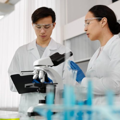 Foto: <a href="https://www.pexels.com/@edward-jenner" target="_blank" rel="nofollow">Edward Jenner</a>