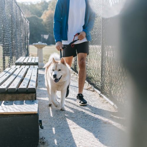 Foto: <a href="https://www.pexels.com/@zen-chung" target="_blank" rel="nofollow">Zen Chung</a>