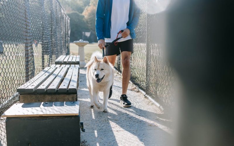 Foto: <a href="https://www.pexels.com/@zen-chung" target="_blank" rel="nofollow">Zen Chung</a>