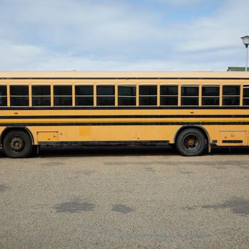 Foto: <a href="https://www.pexels.com/@laker" target="_blank" rel="nofollow">Laker</a>